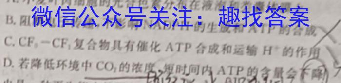 [包头三模]2024年普通高等学校招生全国统一考试(第一次模拟考试)数学