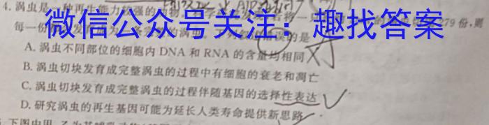 [湘豫名校联考]2024届春季学期高三第四次模拟考试数学