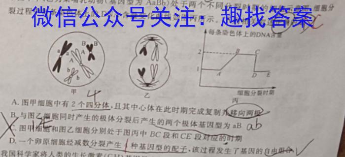 2023年陕西省初中学业水平考试全仿真卷(F)数学