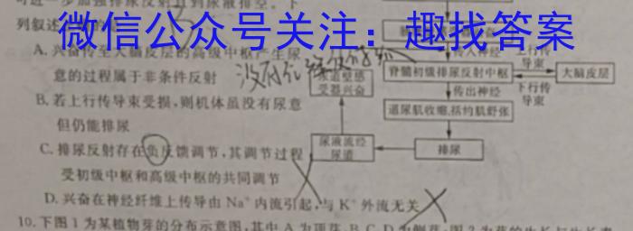 T8联考·山西省2024届高三年级下学期3月联考数学