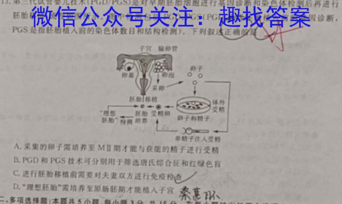 衡水金卷 广东省2024届高三年级12月份大联考数学