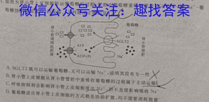 2023-2024衡水金卷先享题月考卷高三六调考试数学