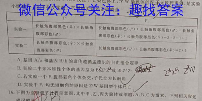 广西省2023春季学期七年级期末综合检测题生物试卷答案