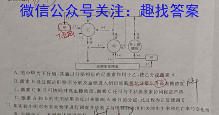 安徽省2024年中考模拟示范卷（四）数学