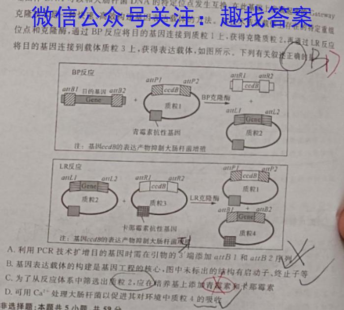 安徽省2024年九年级5月考试（无标题·试题卷）数学