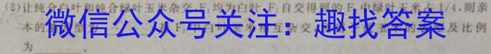 2024届安徽省界首市第五中学九年级第一次模拟试卷数学