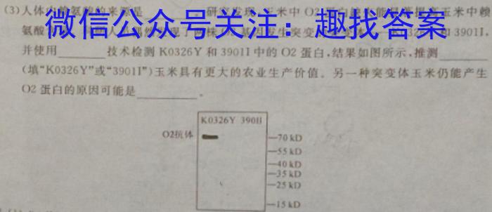 甘肃省2024年陇南市中考模拟联考卷<二>数学