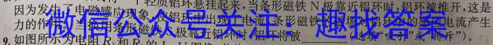 T2·2023年陕西省初中学业水平考试模拟试卷物理.