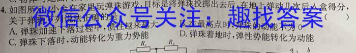 江西省中考总复习冲刺卷（四）物理`