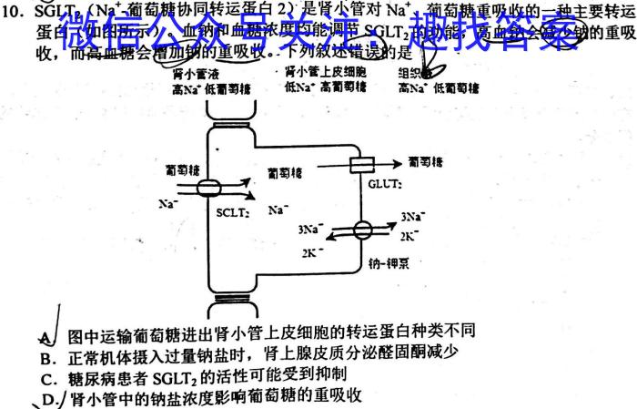 [菏泽一模]2024年菏泽市高三一模考试(2024.3)数学