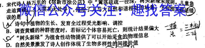 河北省2024届高三大数据应用调研联合测评（II）数学