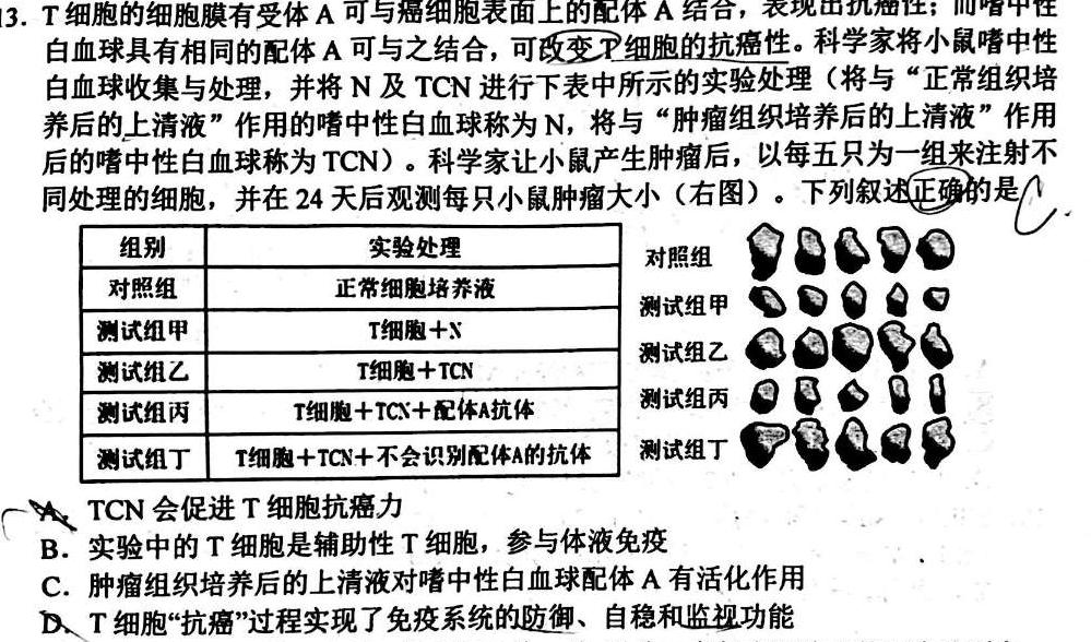 广西省2023年春季学期高二年级八校第二次联考数学考试