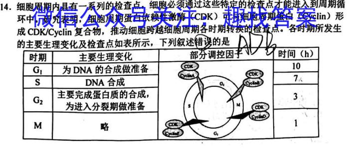 天一大联考 2023年合肥六中高三最后一卷数学