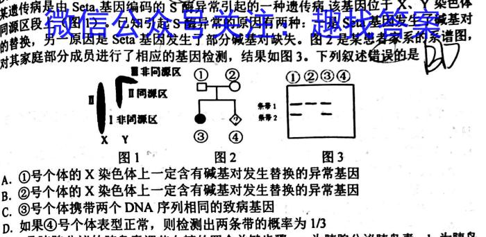 智慧上进·稳派大联考江西省2024届高三11月一轮总复习调研测试数学