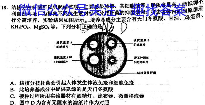 重庆市巴蜀中学校2022-2023学年高三下学期适应性月考卷（十）数学