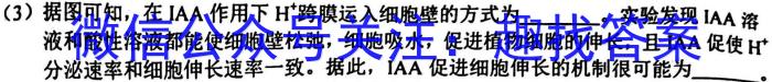 2023年河南大联考高三年级5月联考（5003C·HEN）数学