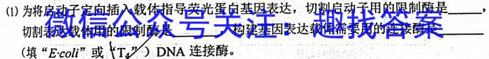 文博志鸿 2023年河南省普通高中招生考试模拟试卷(冲刺一)数学