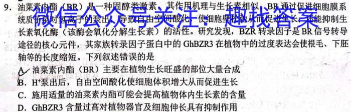 2024届名校大联考普通高中名校联考信息卷(压轴一)数学