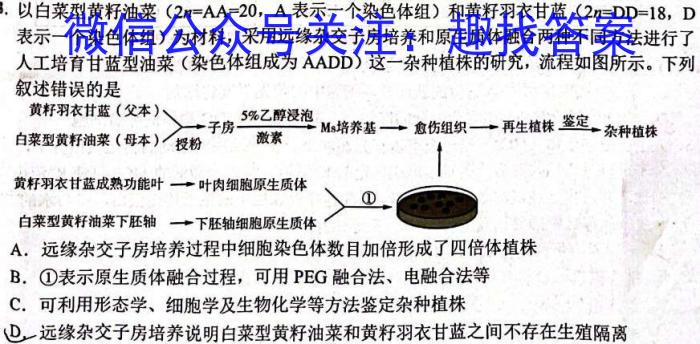 2024考前信息卷·第八辑 重点中学、教育强区 考前押题信息卷(四)4数学