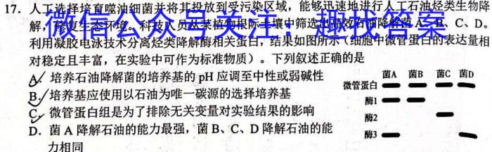 2023年合肥市中考最后一卷(模拟卷)数学