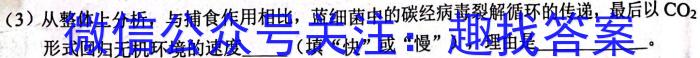 2024~2025学年度武汉市部分学校高三九月调研考试(2024.9.4)数学