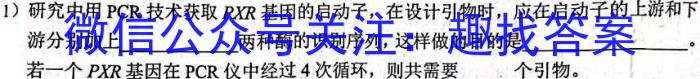 炎德英才大联考 长沙市一中2024届模拟试卷(二)2数学