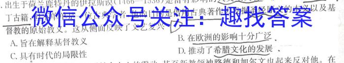 安徽省安庆市2023届初三毕业班模拟考试（二模）【第二中学】历史