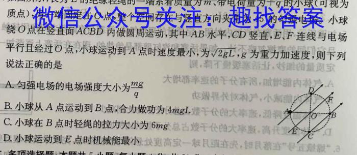 河南省2022~2023学年度八年级下学期期末综合评估 8L HEN.物理