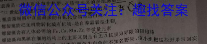 2023-2024学年高三试卷5月百万联考(锥形瓶)数学