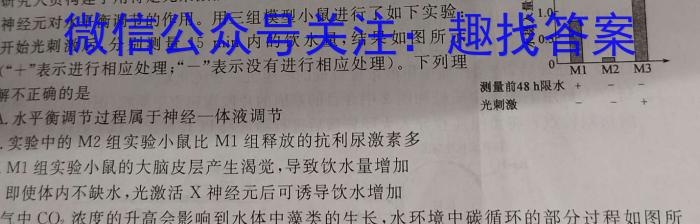 安徽省2023-2024学年度第二学期七年级期末监测(试题卷)数学