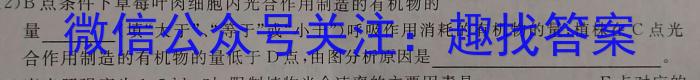 2023年广东大联考高三年级5月联考（23-456C）数学