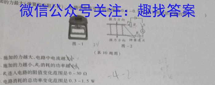 2023年普通高等学校招生全国统一考试·专家猜题卷(六).物理