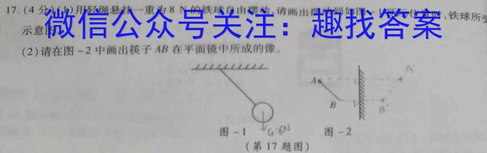 安徽省C20教育联盟2023年中考最后典题卷(一)f物理