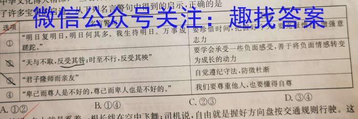 耀正文化(湖南四大名校联合编审)·2023届名校名师模拟卷(九)9地.理