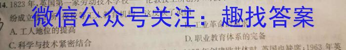 2023年泰安市高考全真模拟试题(23-360C)历史试卷