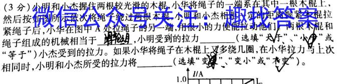 2022-2023学年陇南市九年级联考模拟卷(二)2l物理