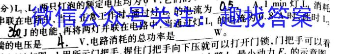 山西省忻州市2022-2023学年七年级第二学期期末教学质量监测（23-CZ261a）.物理