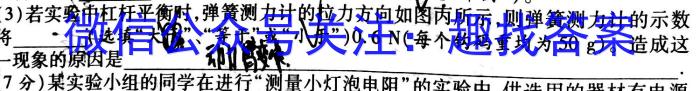 2023届陕西省第十一次模拟考试物理.