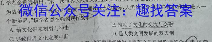 2023届河南省高二年级考试5月联考(23-484B)历史试卷