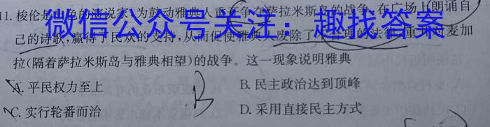 天一大联考·皖豫名校联盟2024-2023学年(下)高二年级阶段性测试(四)历史