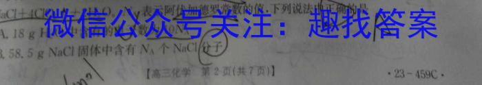 2023年陕西省九年级临考冲刺卷（A）化学