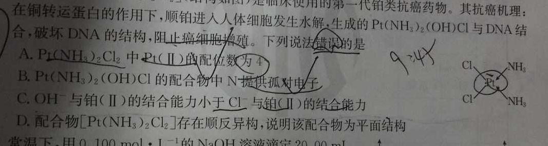 一步之遥 2023年河北省初中毕业生升学文化课考试模拟考试(十三)化学