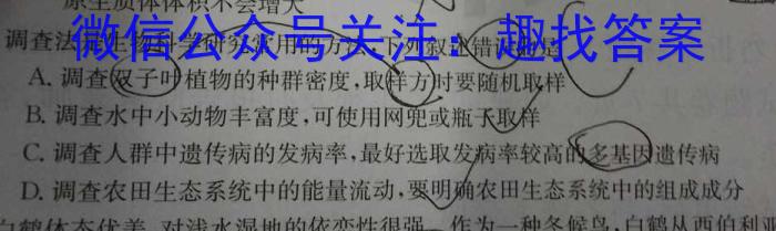 伯乐马 2024年普通高等学校招生新高考模拟考试(四)4数学