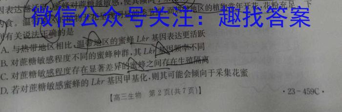 ［四川大联考］四川省2023-2024学年高二年级联考11月期中考试数学