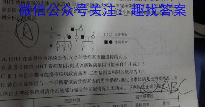 陕西省武功县2024届高三质量检测(2月)数学