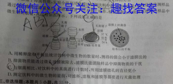 皖智教育 安徽第一卷·2024年中考安徽名校大联考试卷(一)1数学