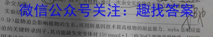 安徽省县中联盟2023-2024学年高一12月联考数学