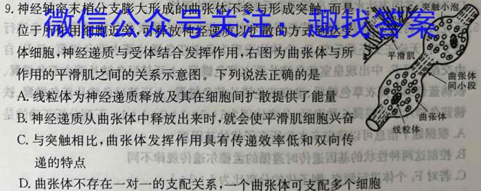 2023年湖南省普通高中学业水平合格性考试高一仿真试卷(专家版六)数学