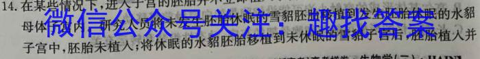 陕西省西安市2023-2024学年第一学期初三年级摸底练习数学