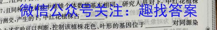 黑龙江省2023级高一学年下学期期中考试试题(241727D)数学